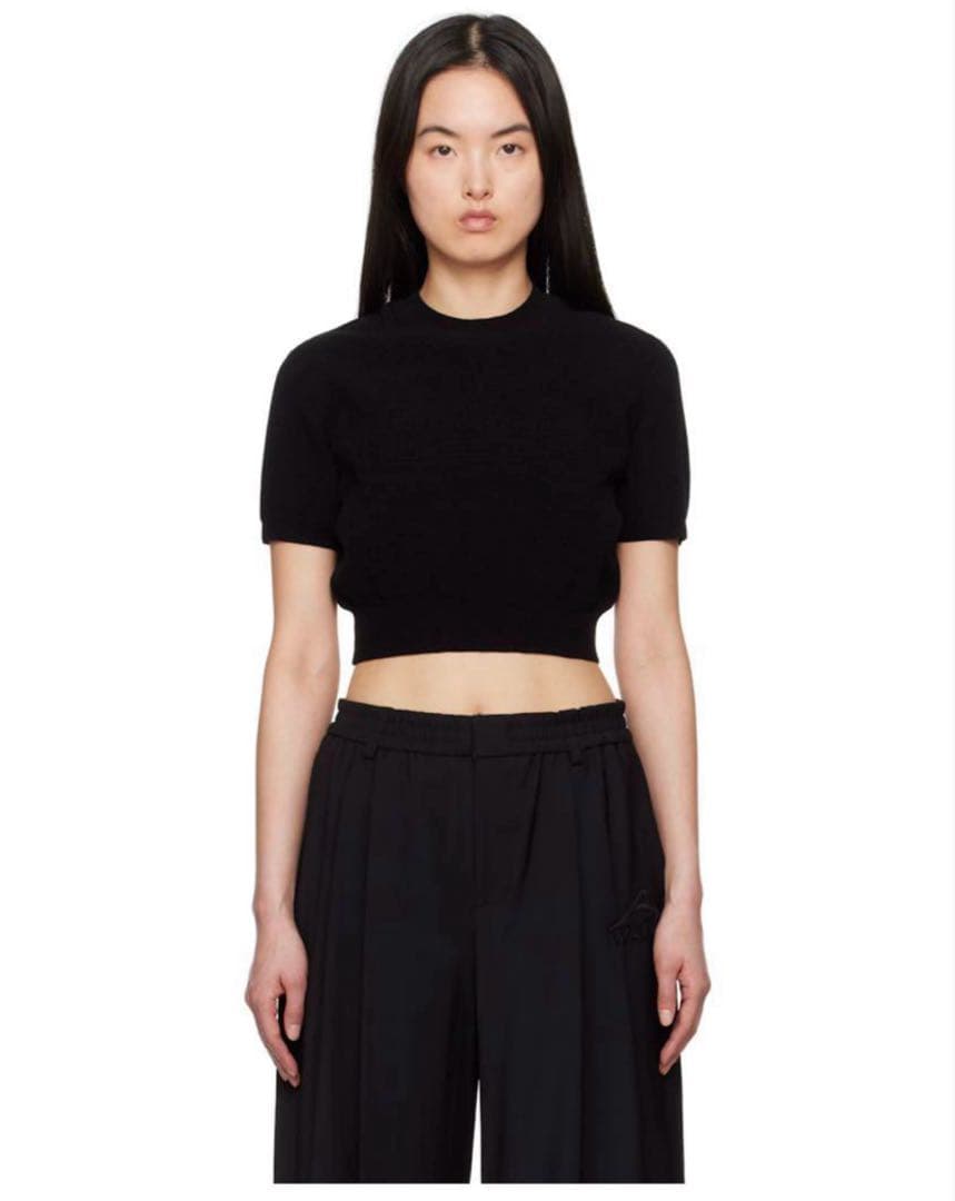 【最終値下げ】ALEXANDER WANG トップス