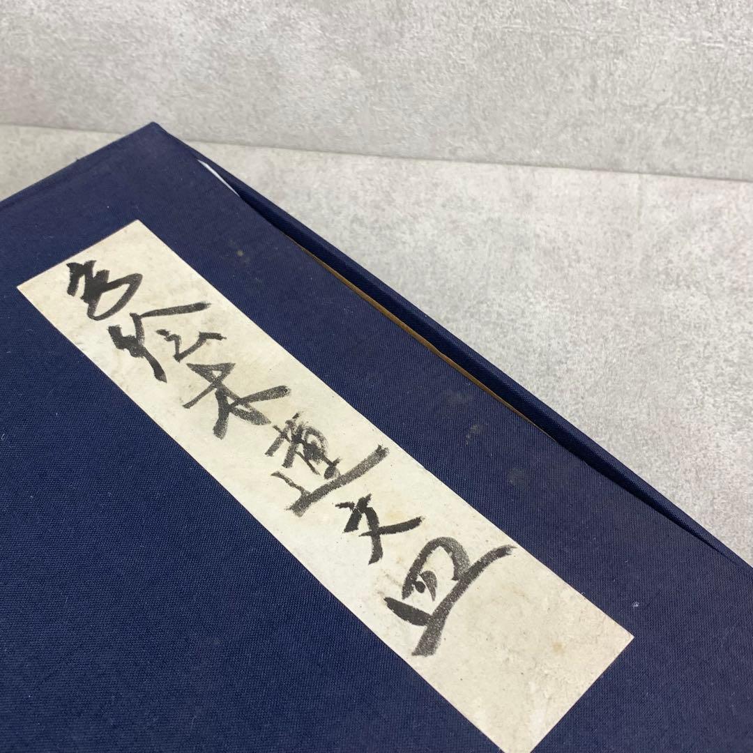 高橋誠 色絵木蓮文皿 冊子付き 紫木蓮 直径26cm 花 丸皿
