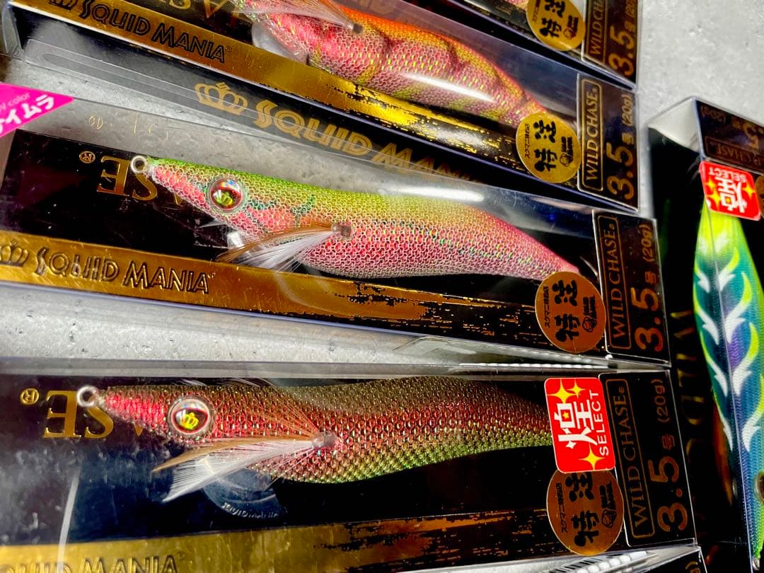【新品未使用】スクイッドマニア　ワイルドチェイス　3.5号　煌　特注カラー
