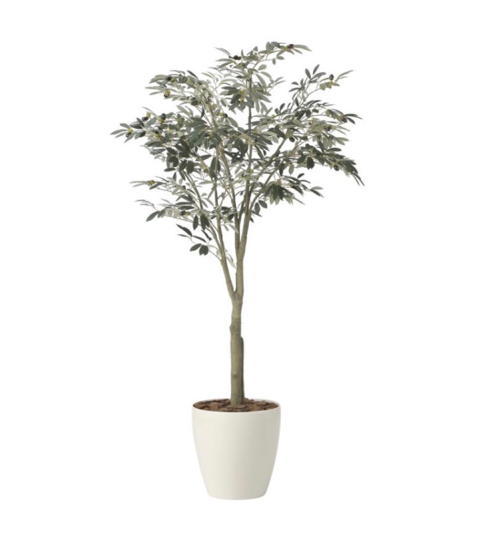 光触媒　人工観葉植物　ウォールグリーン　フェイクグリーン　オリーブツリー1.85