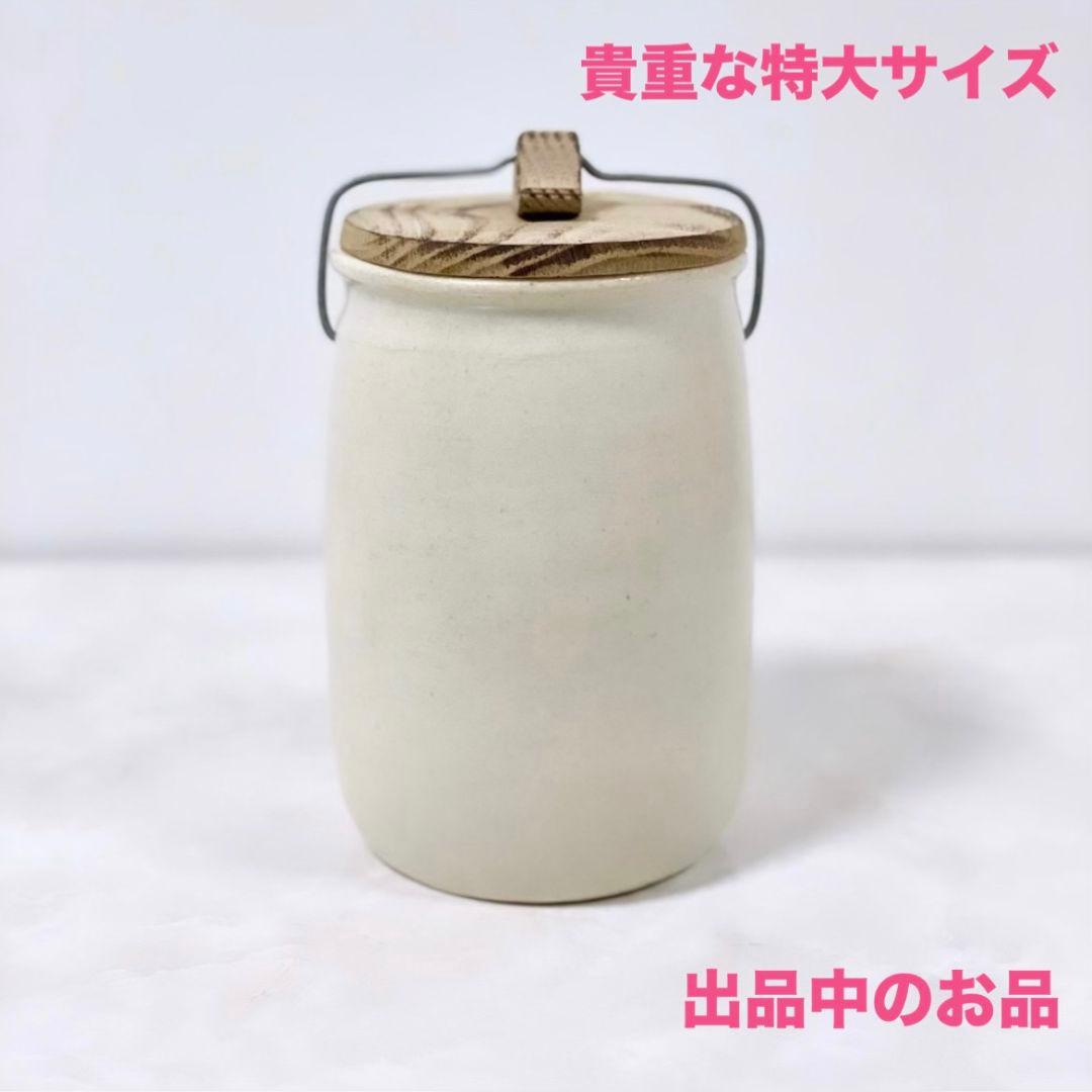 希少 江波冨士子 酒器茶杯1客 伊藤聡信剛俊辻和美小西潮岡さつき