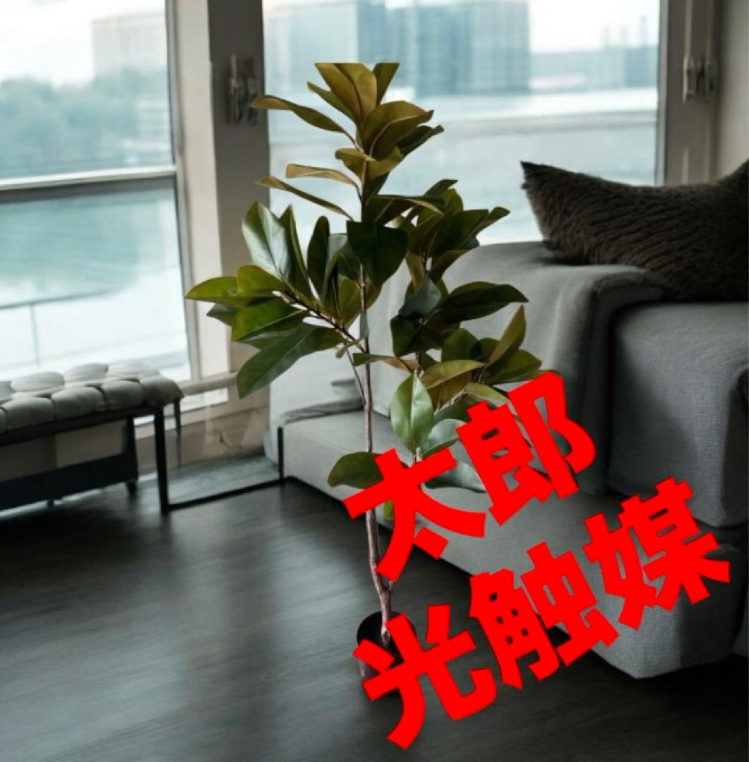 光触媒　人工観葉植物　ウォールグリーン　フェイクグリーン　マグノリアツリー15