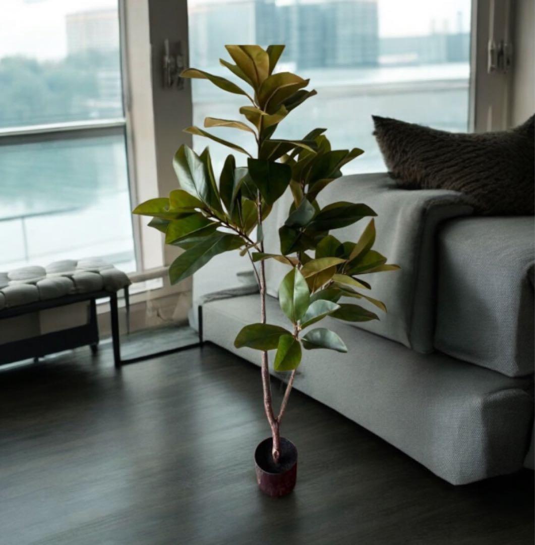 光触媒　人工観葉植物　ウォールグリーン　フェイクグリーン　マグノリアツリー15