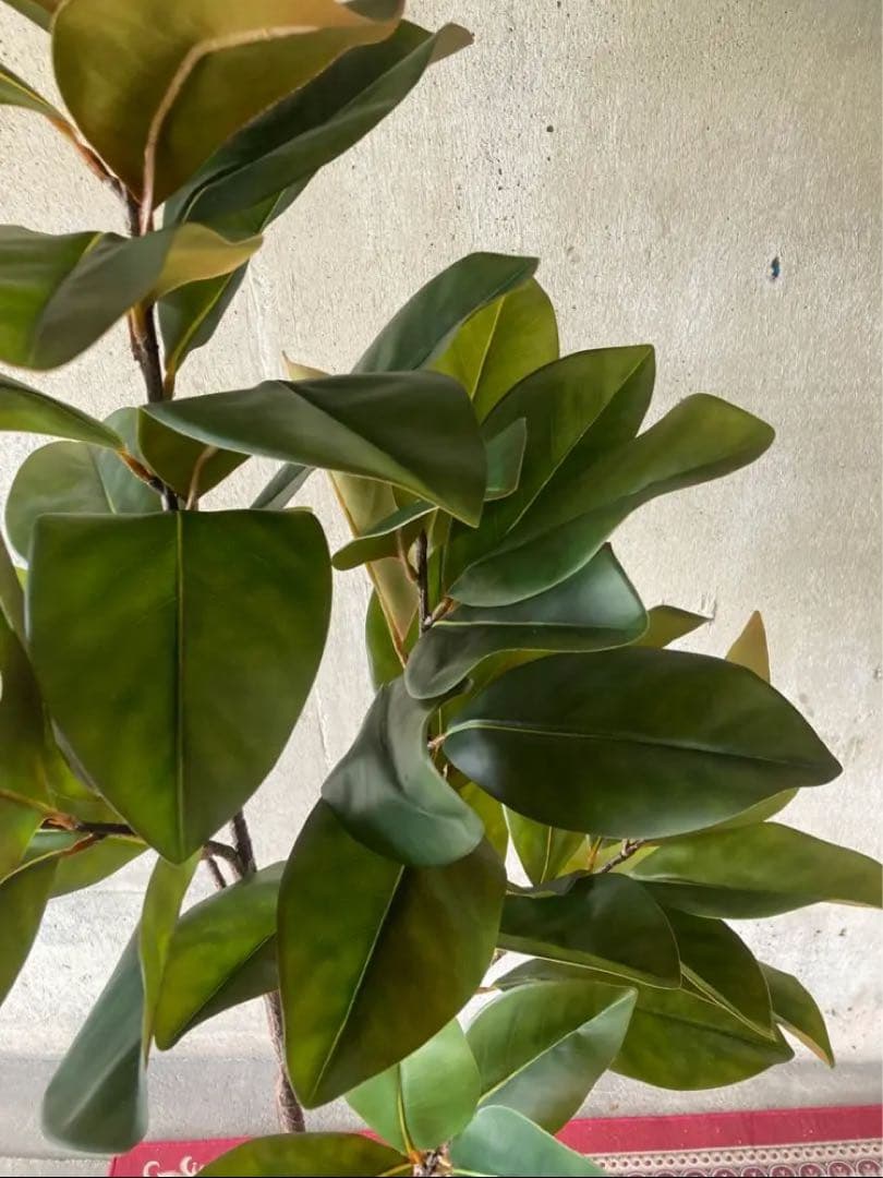 光触媒　人工観葉植物　ウォールグリーン　フェイクグリーン　マグノリアツリー15