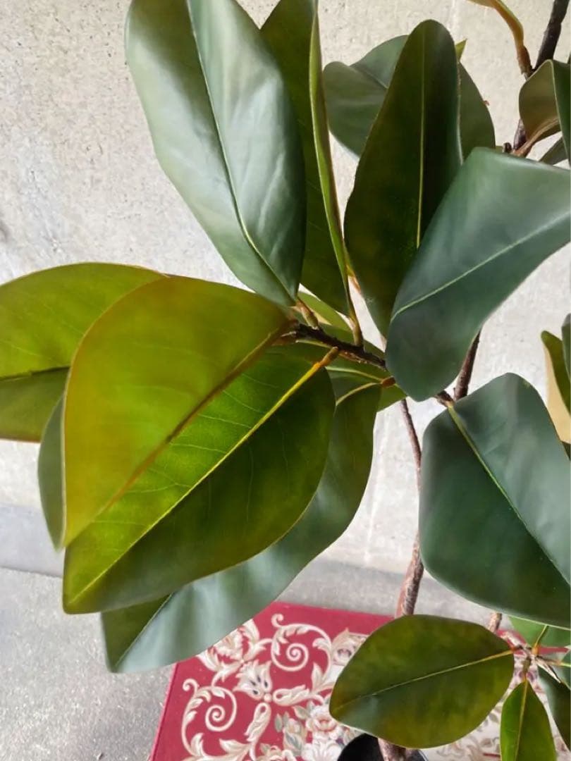 光触媒　人工観葉植物　ウォールグリーン　フェイクグリーン　マグノリアツリー15