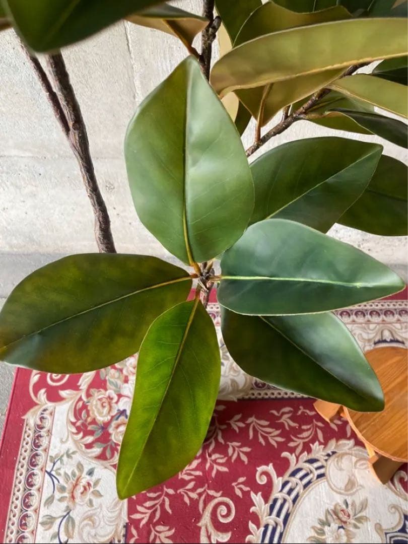 光触媒　人工観葉植物　ウォールグリーン　フェイクグリーン　マグノリアツリー15