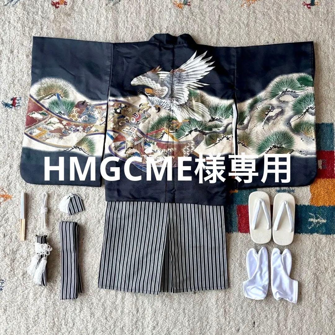 HMGCMEページ