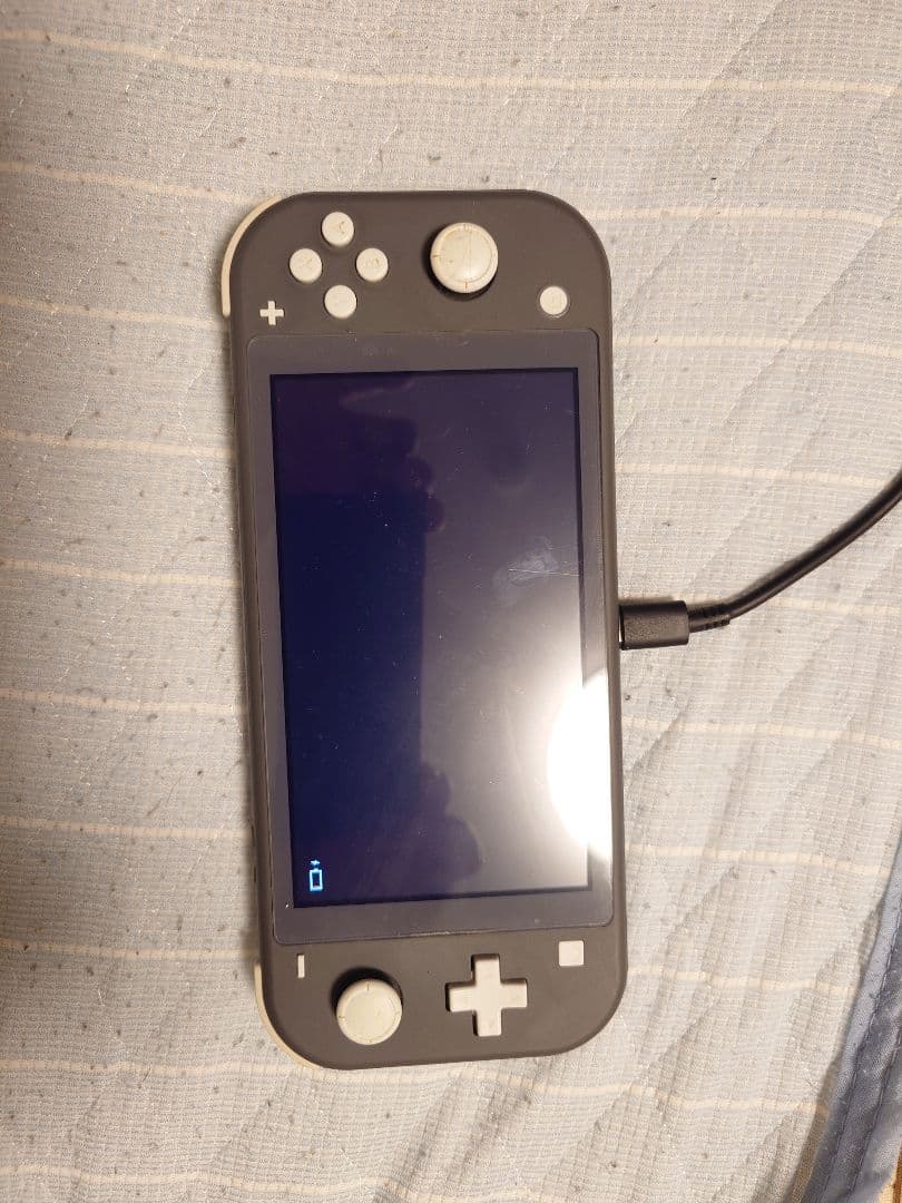 Nintendo Switch Lite グレー 専用ケース付き(修理済み品)