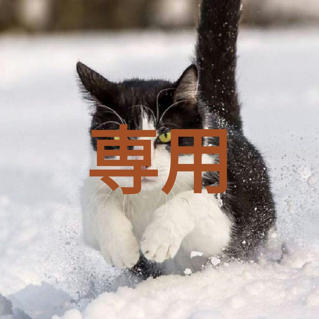 ろっかく