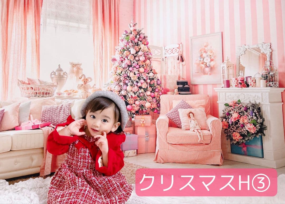 背景布×10枚+2　ペット撮影用ブース　トリミングチョーカー販売中　お正月、春