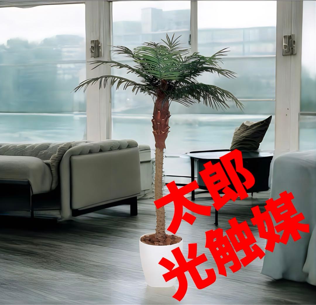 光触媒　人工観葉植物　ウォールグリーン　フェイクグリーン　フェニックス1.8m