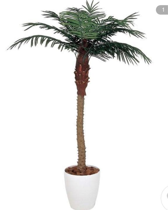 光触媒　人工観葉植物　ウォールグリーン　フェイクグリーン　フェニックス1.8m