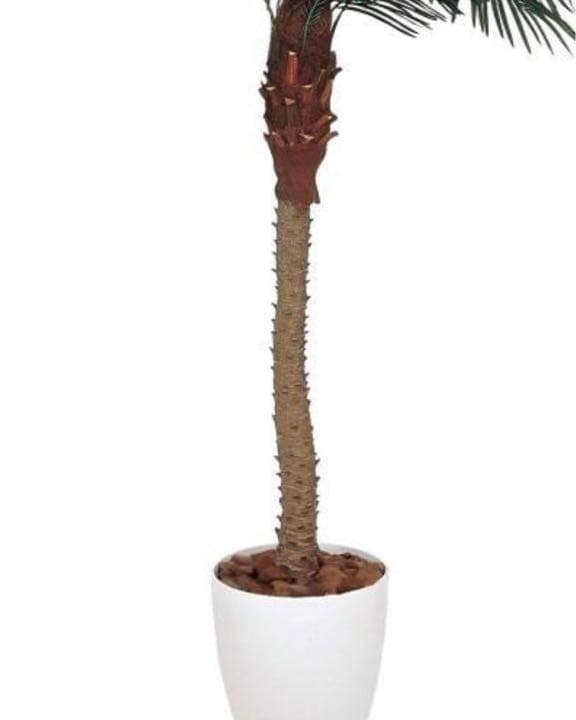 光触媒　人工観葉植物　ウォールグリーン　フェイクグリーン　フェニックス1.8m