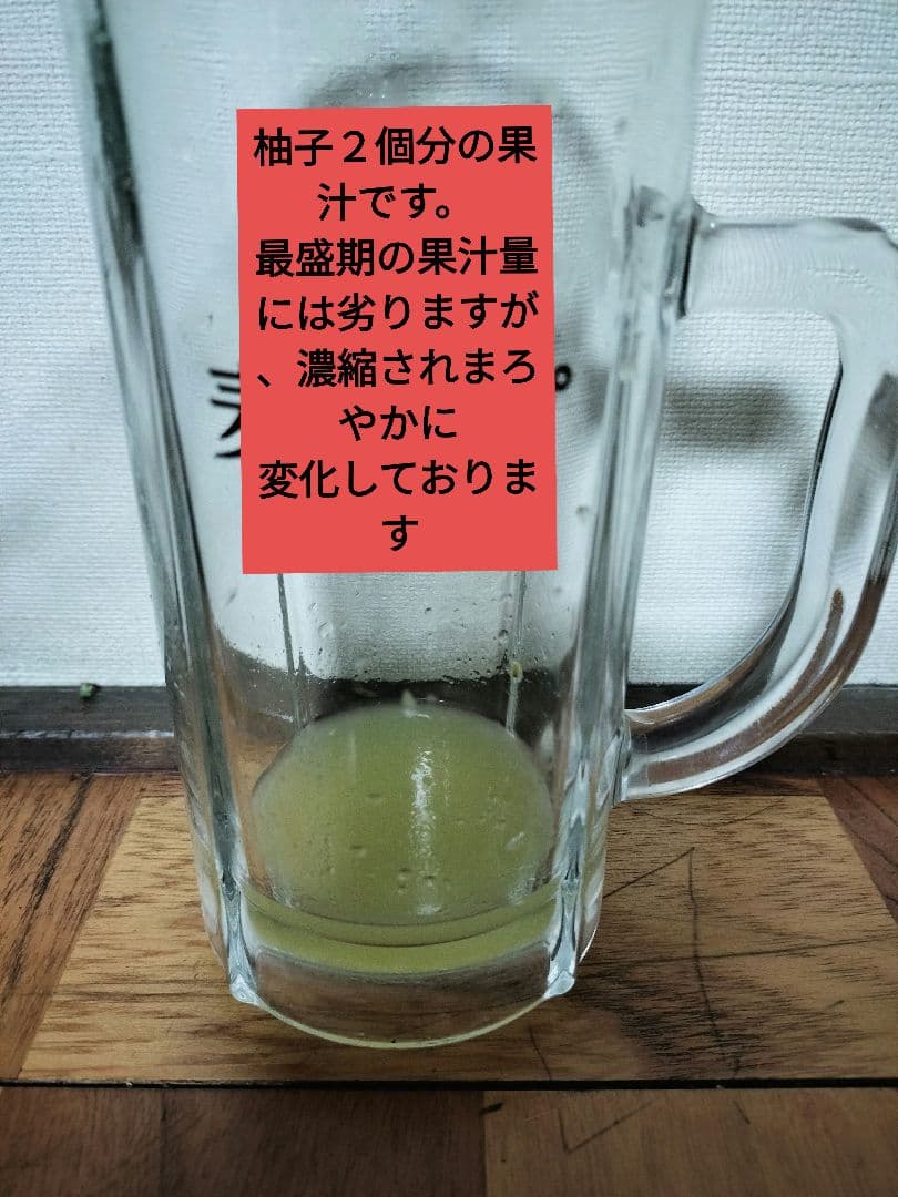 実生本柚子　10㌔　訳あり