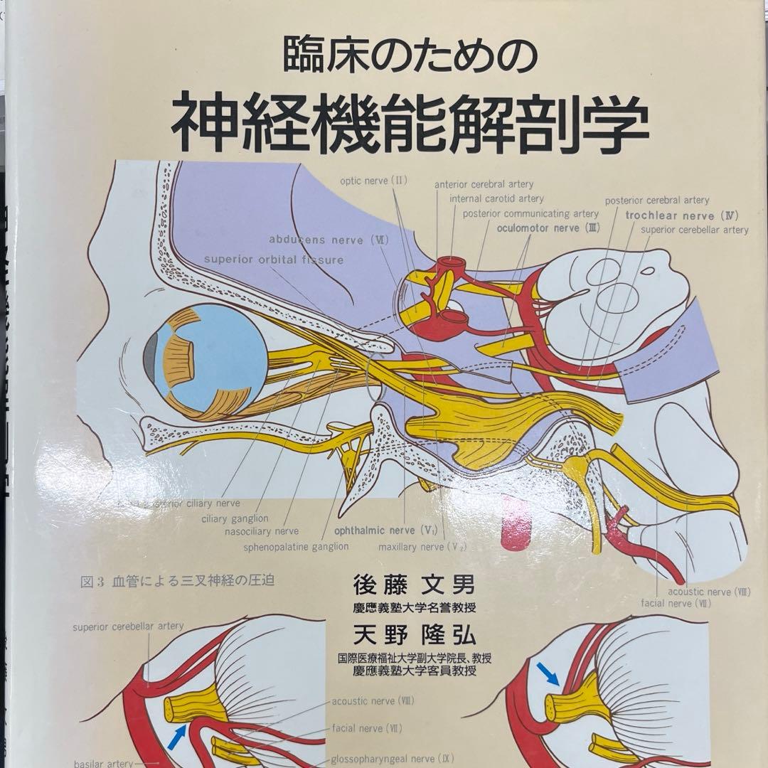 臨床のための神経機能解剖学
