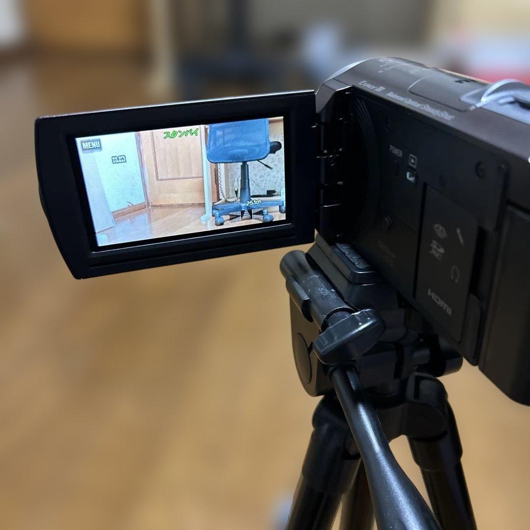 ソニーハンディカムHDR-CX430