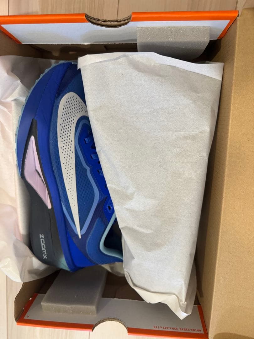 正規店購入品　ナイキ ズーム フライ 6 NIKE