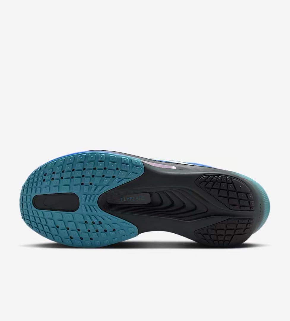 正規店購入品　ナイキ ズーム フライ 6 NIKE