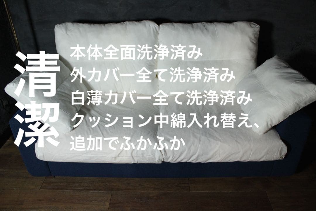 首都圏送無料〜NEW SUGER STANDARD 2人掛け ソファ ノイエス