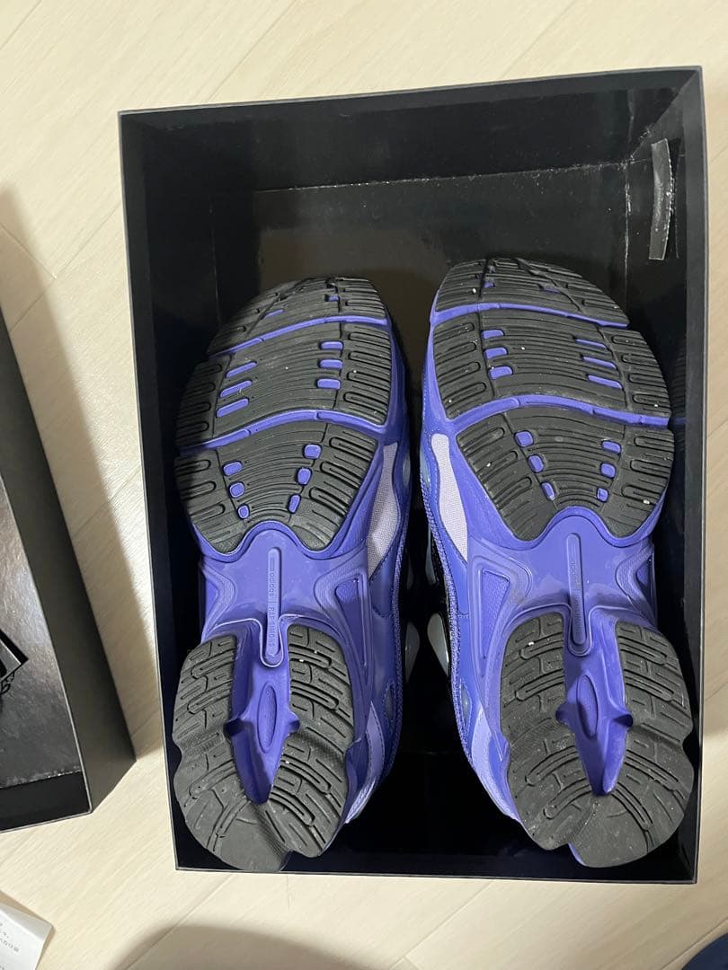 RAF SIMONS × adidas ozweego 3