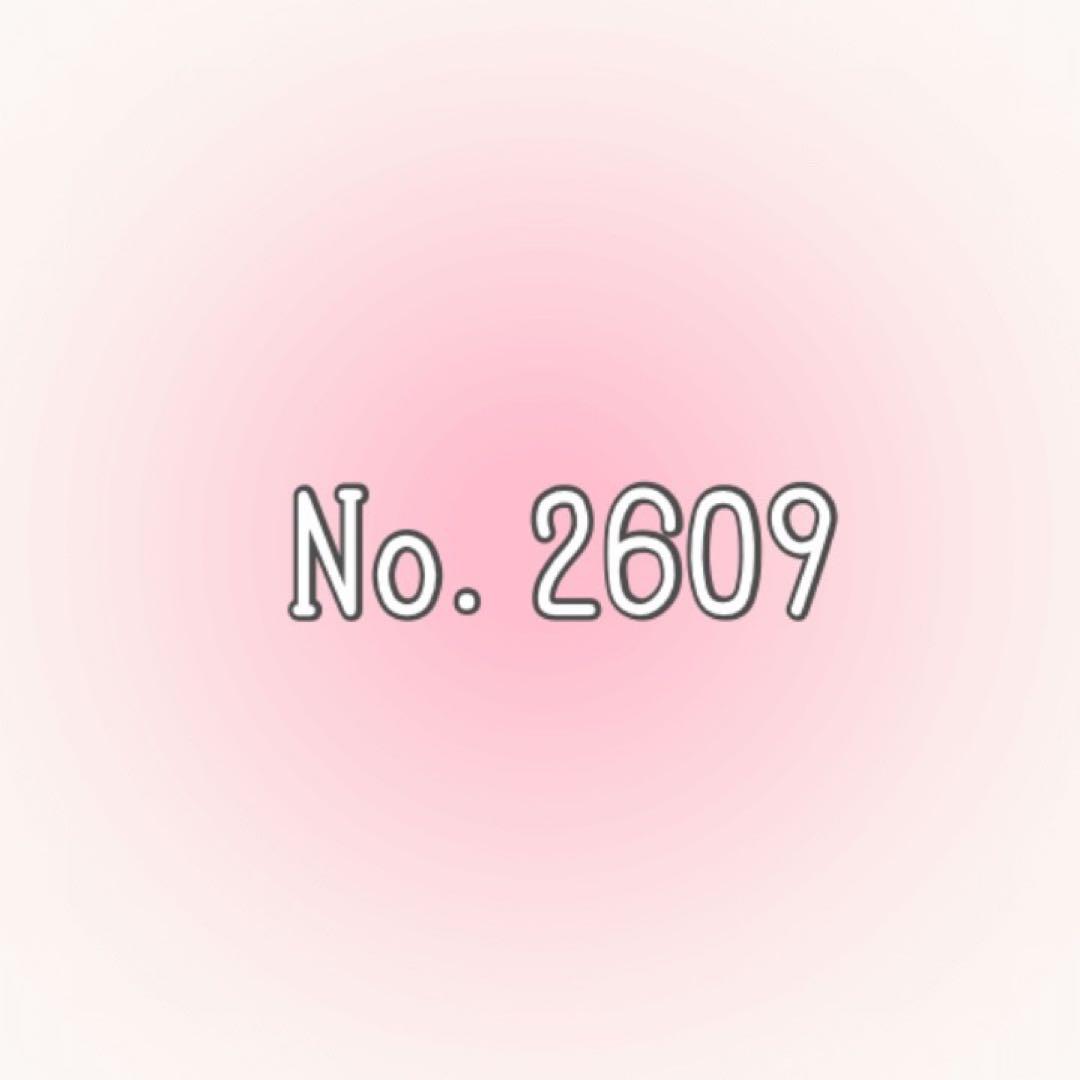 専用出品2609