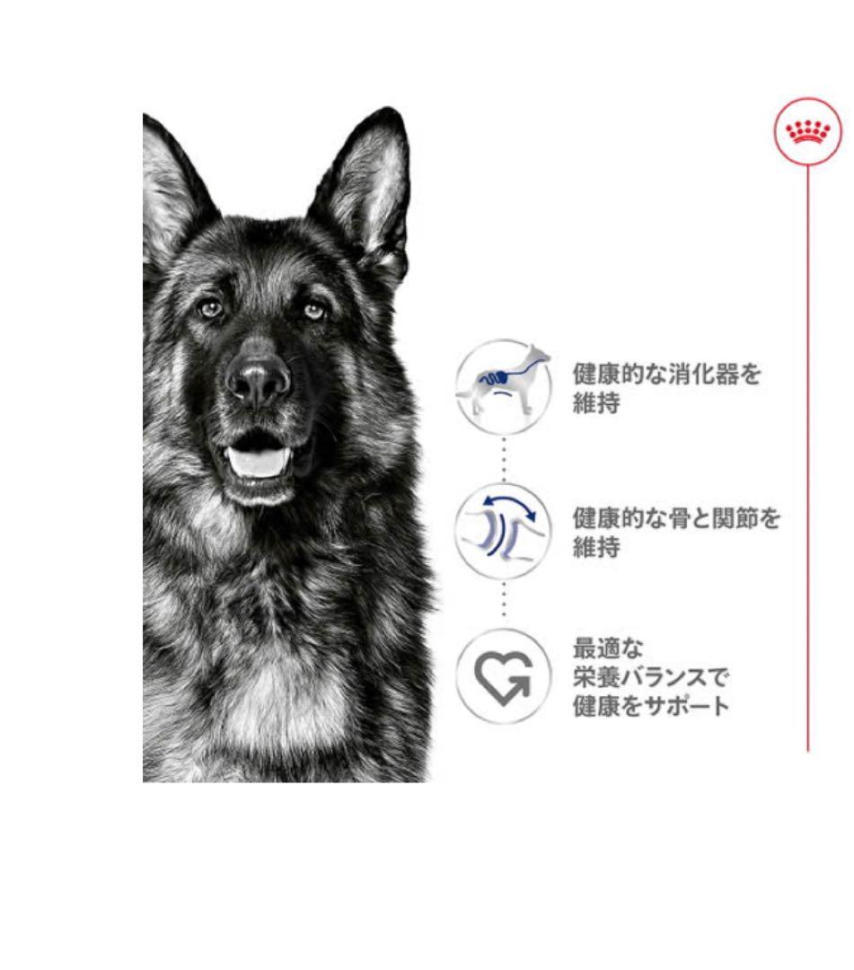 yknkさま専用