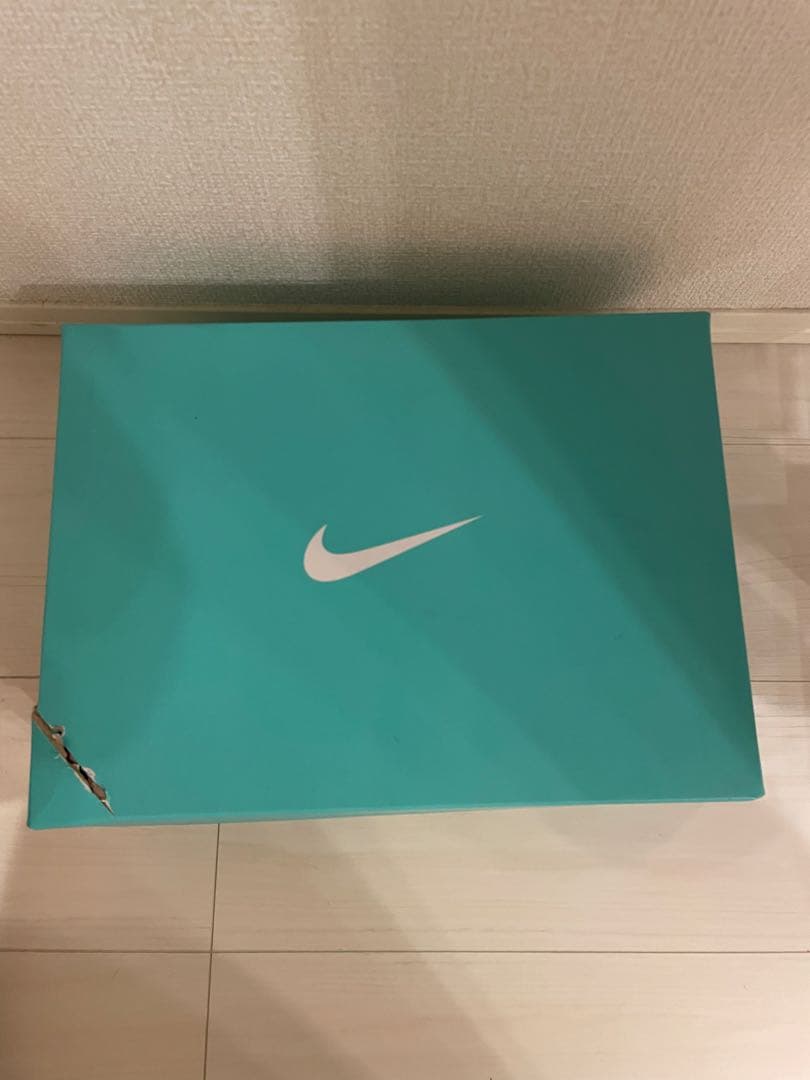 靴 Tiffany NIKE Air Force 1