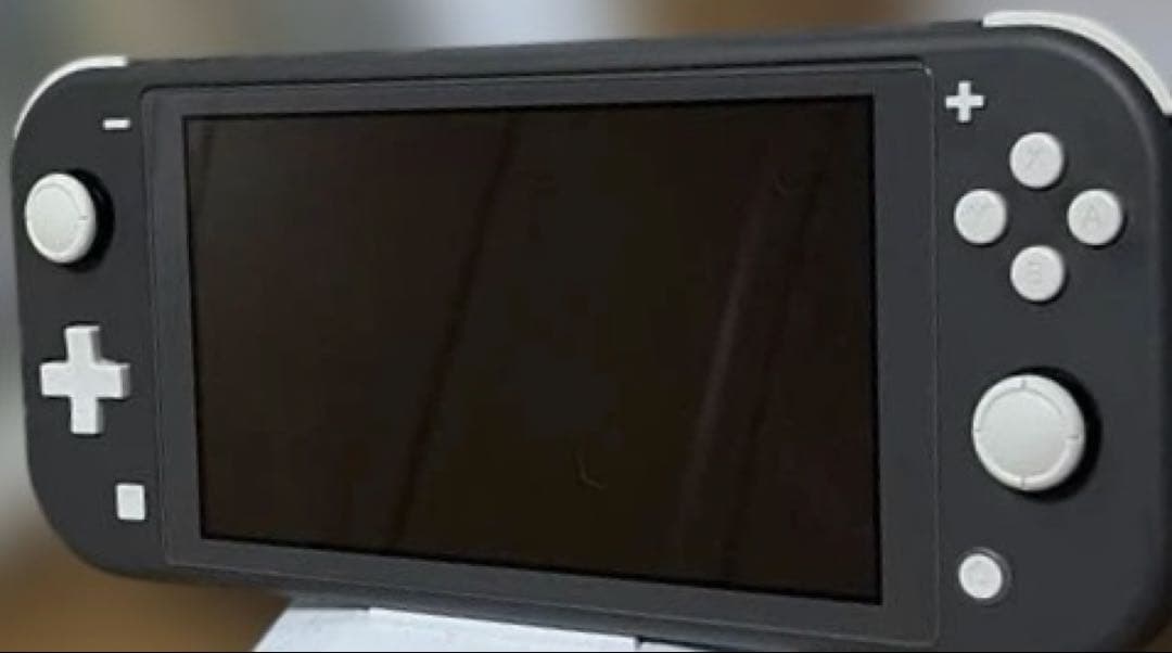 NintendoSwitchLight グレー 本体 カバー 充電器、おまけ付き