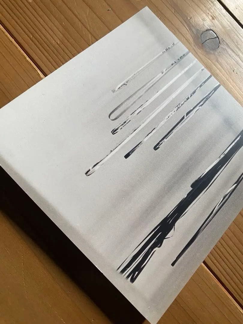 クラシック WilliamBasinski The Disintegration Loops