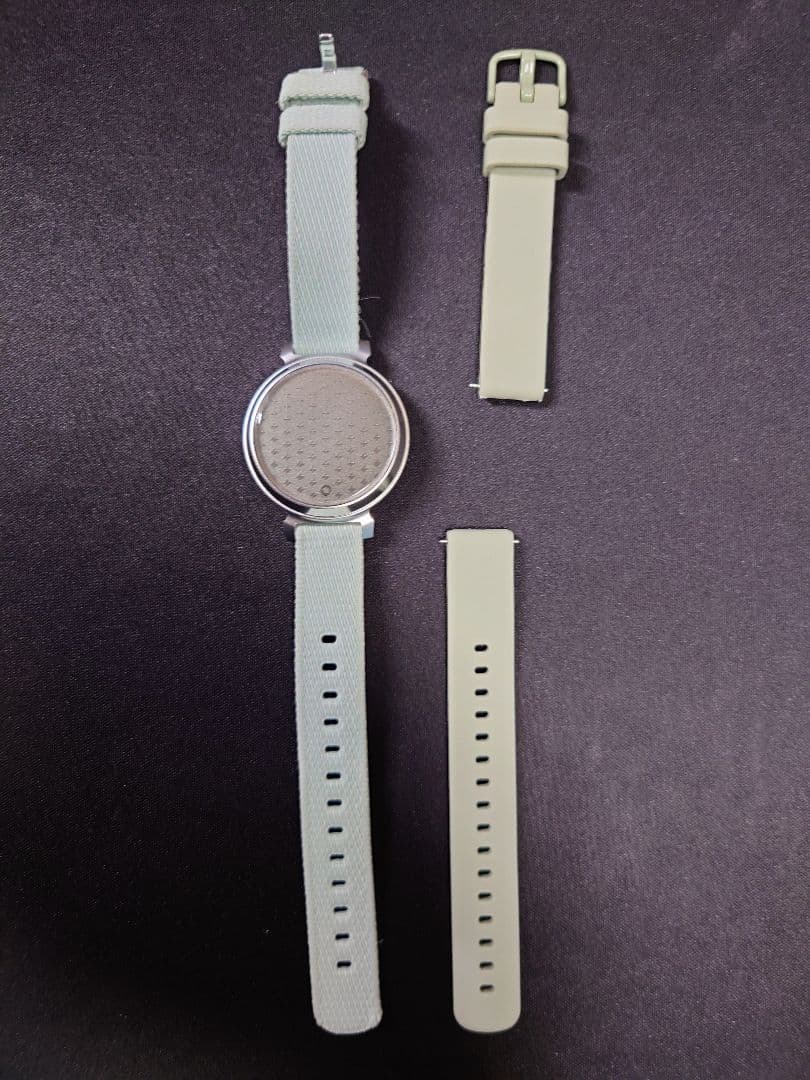 ガーミン GARMIN Lily2 Classic スイカ対応 定価44800円