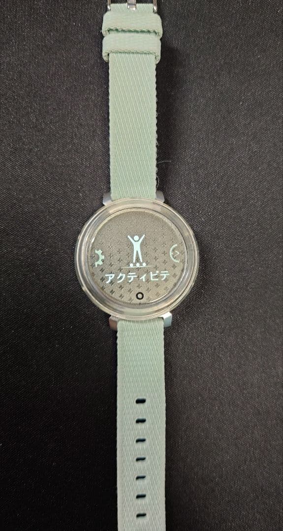 ガーミン GARMIN Lily2 Classic スイカ対応 定価44800円