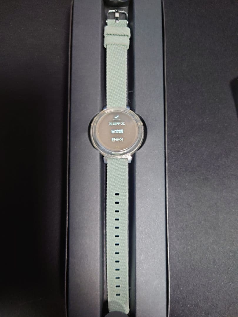 ガーミン GARMIN Lily2 Classic スイカ対応 定価44800円
