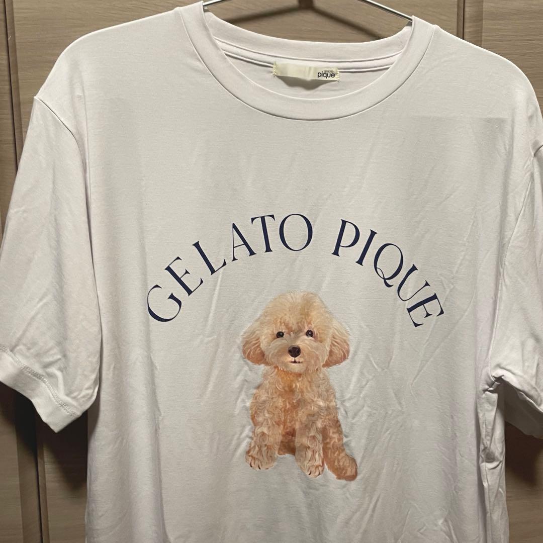 【新品タグ付】gelato pique ジェラートピケ ルームウェア 上下セット