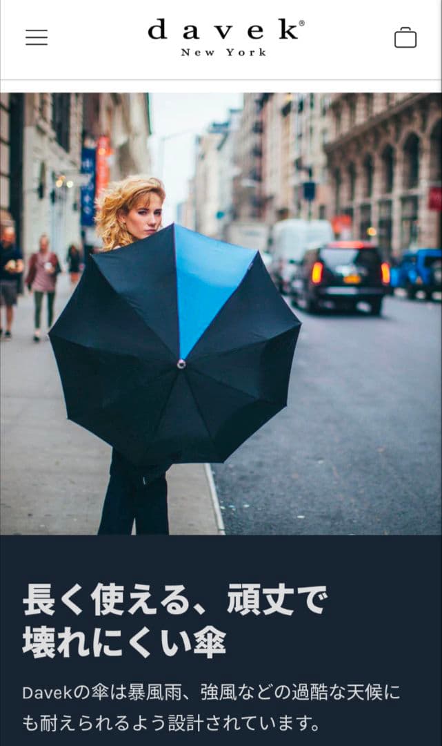 davek Solo 折りたたみ傘 黒/緑⭐️収納ケース付き