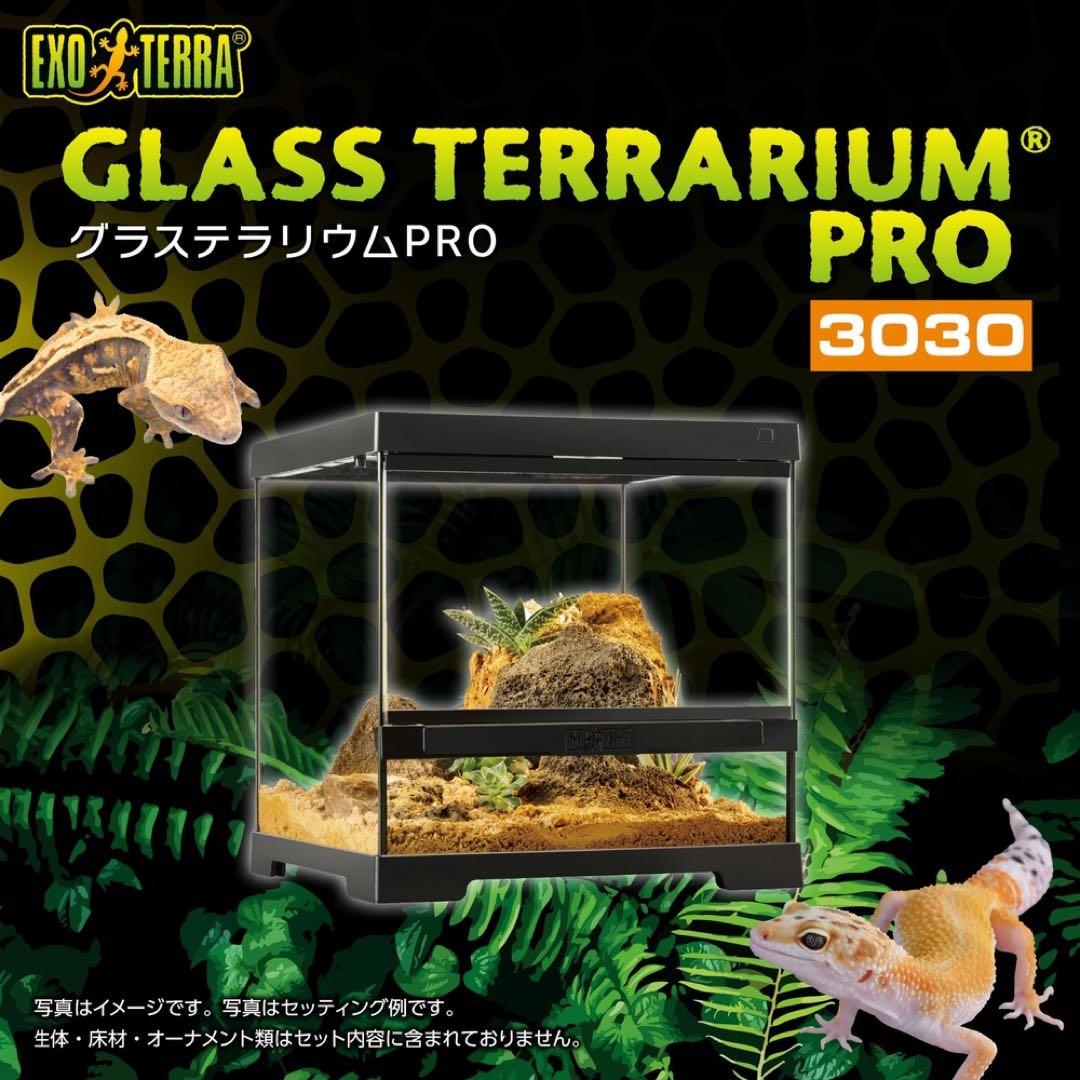 【新品】GEXグラステラリウム PRO 3030