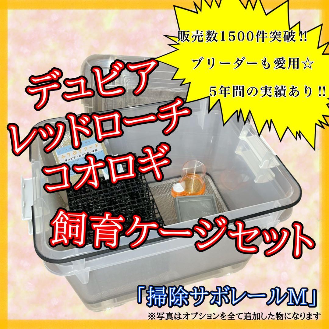 イトちん様　M (イエコ)