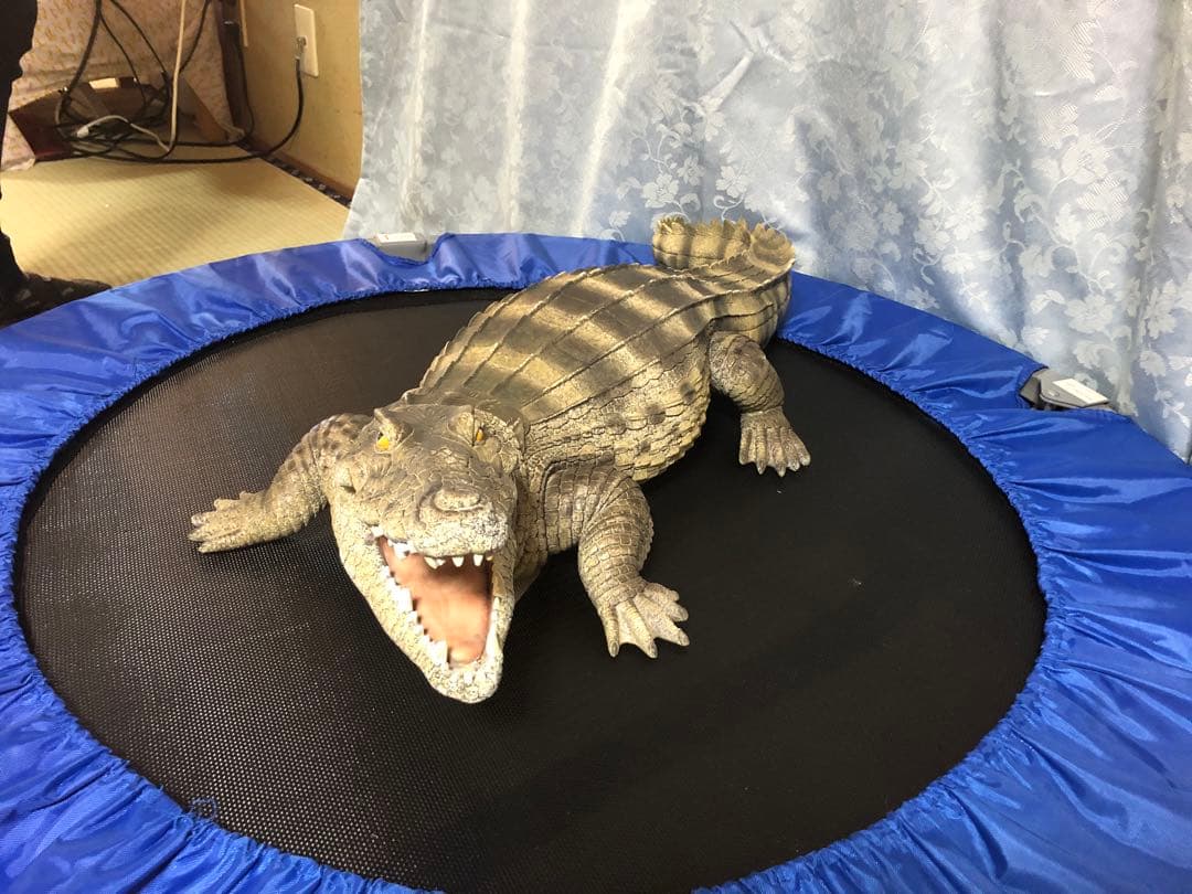 リアルなワニの置き物　約60cm