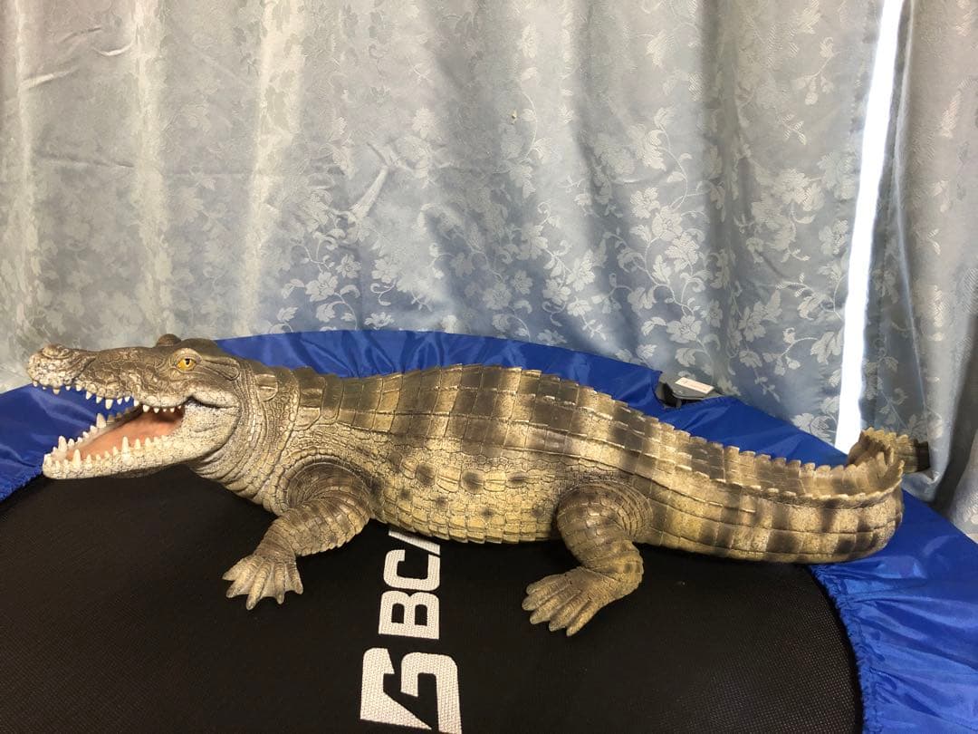 リアルなワニの置き物　約60cm