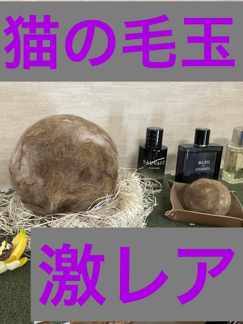 インテリア　珍品　プレゼント　猫
