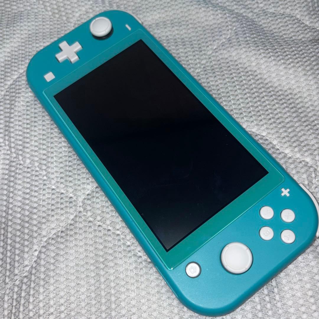 Switchライト　本体(箱付)