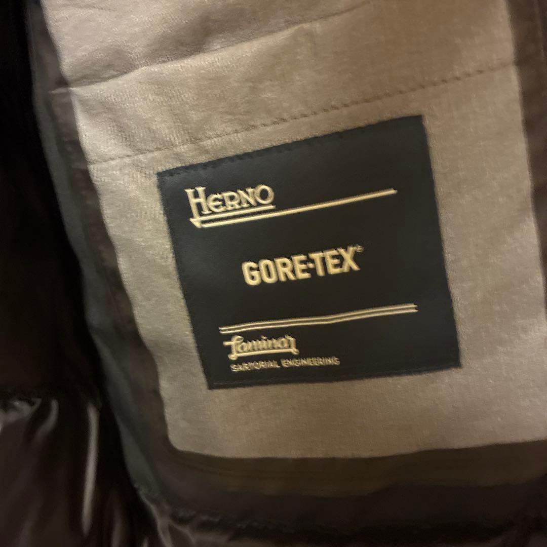 Herno ラミナー　GORE-TEX ダウンコート ブラック