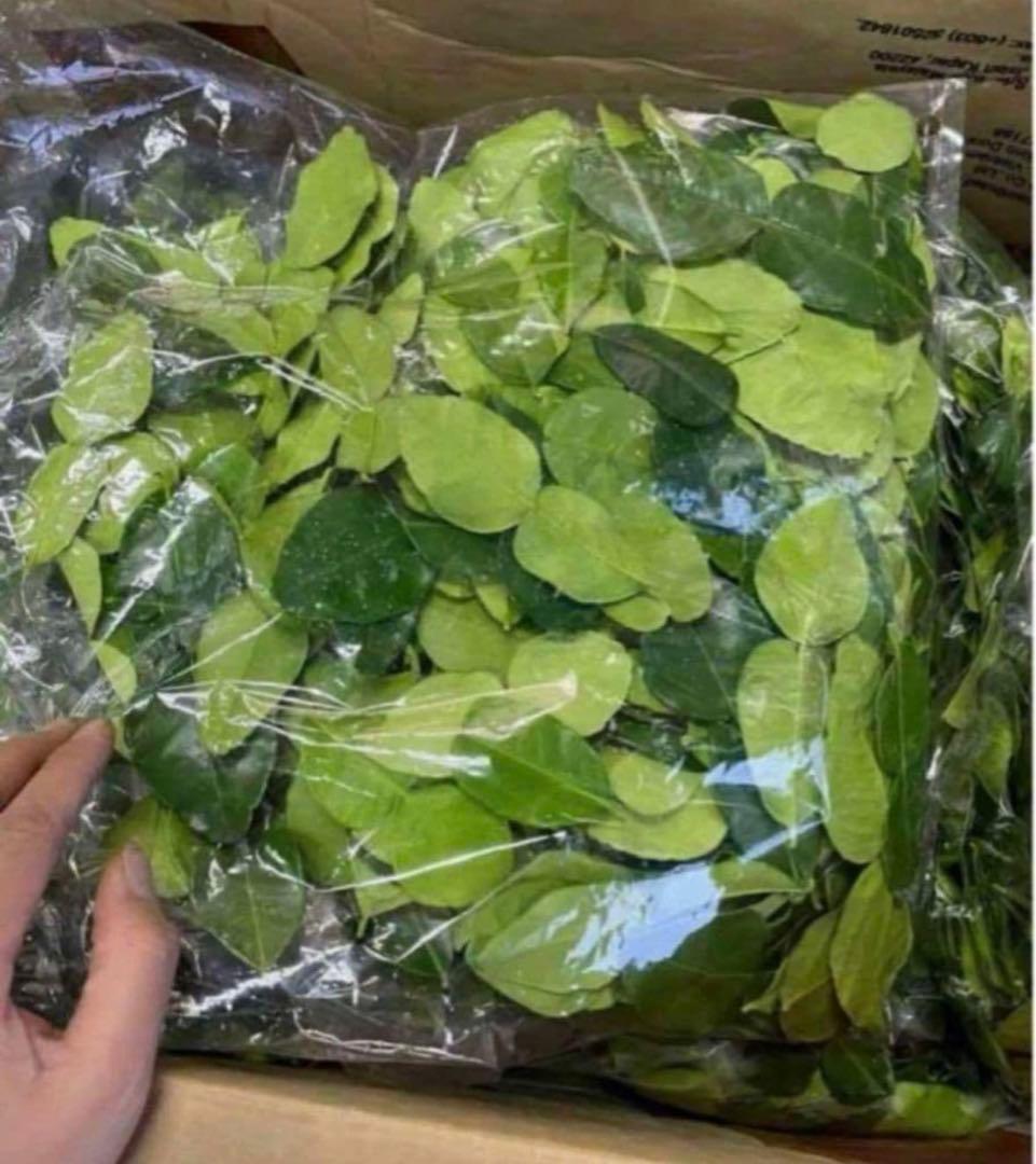セットレモングラス200gコブミカン葉30gパンダンリーフ5 枚ホムデンオマケ。