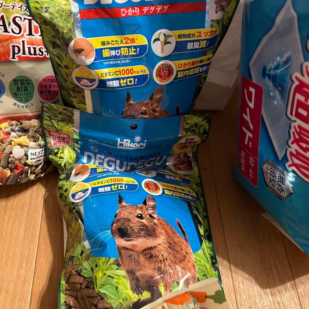 デグー　DRGU 飼育セット　餌　サンド　シートなど