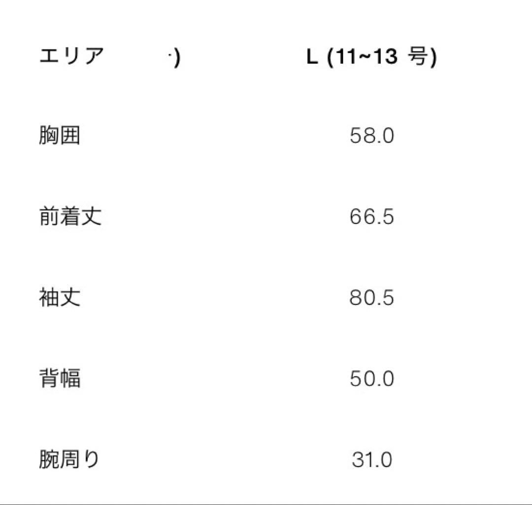 大人気　ZARAレザージャケット