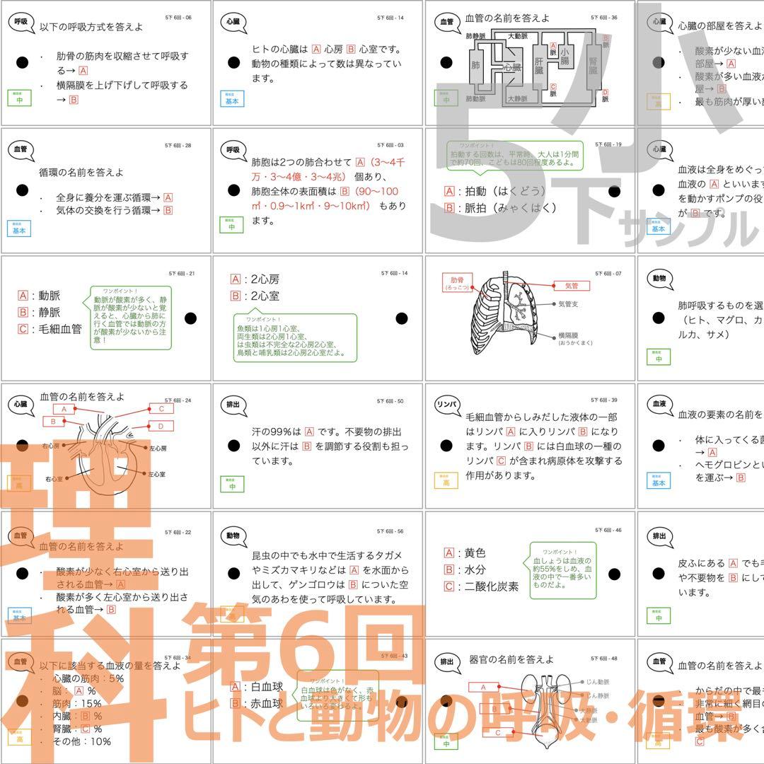 中学受験 暗記カード【5年下 社会・理科6-9回】 予習シリーズ 組み分け対策