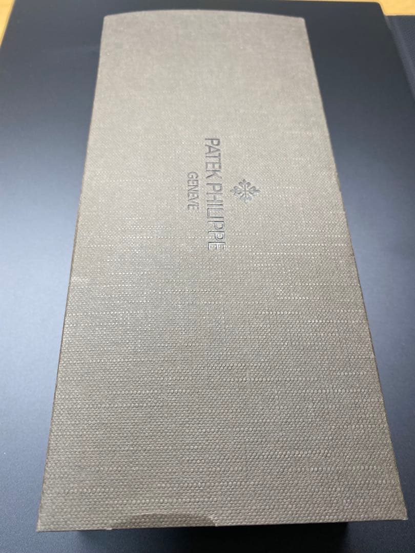 CARAN d'ACHE × PATEK PHILIPPE ボールペン ブロンズ