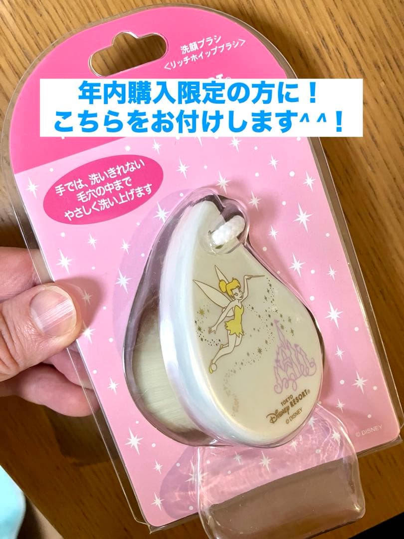 ディズニーシー　ダッフィー＆フレンズ　カーテン　ウィッシングウィングス