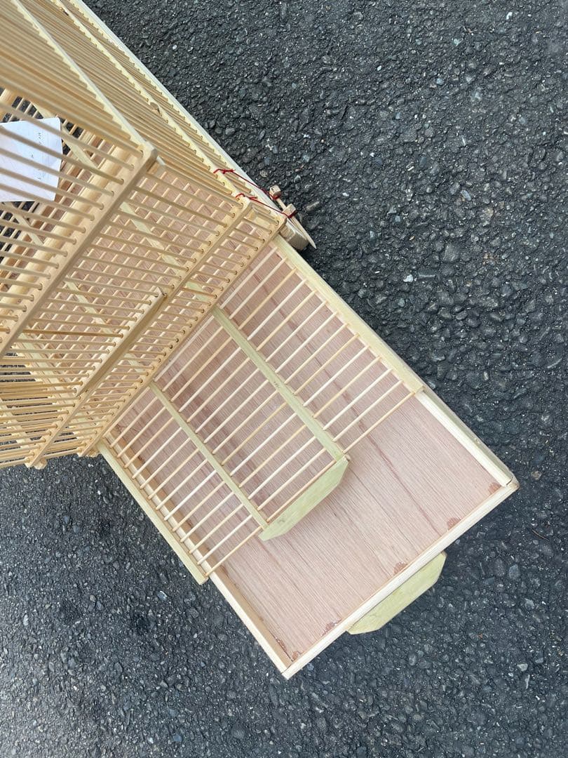 ひかる