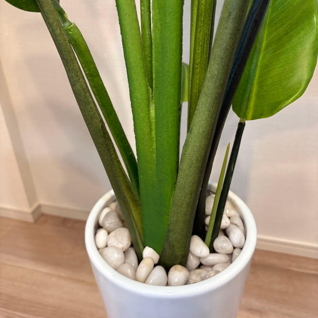 【美品】ストレリチア スリムプランター プリマ 観葉植物 フェイクグリーン
