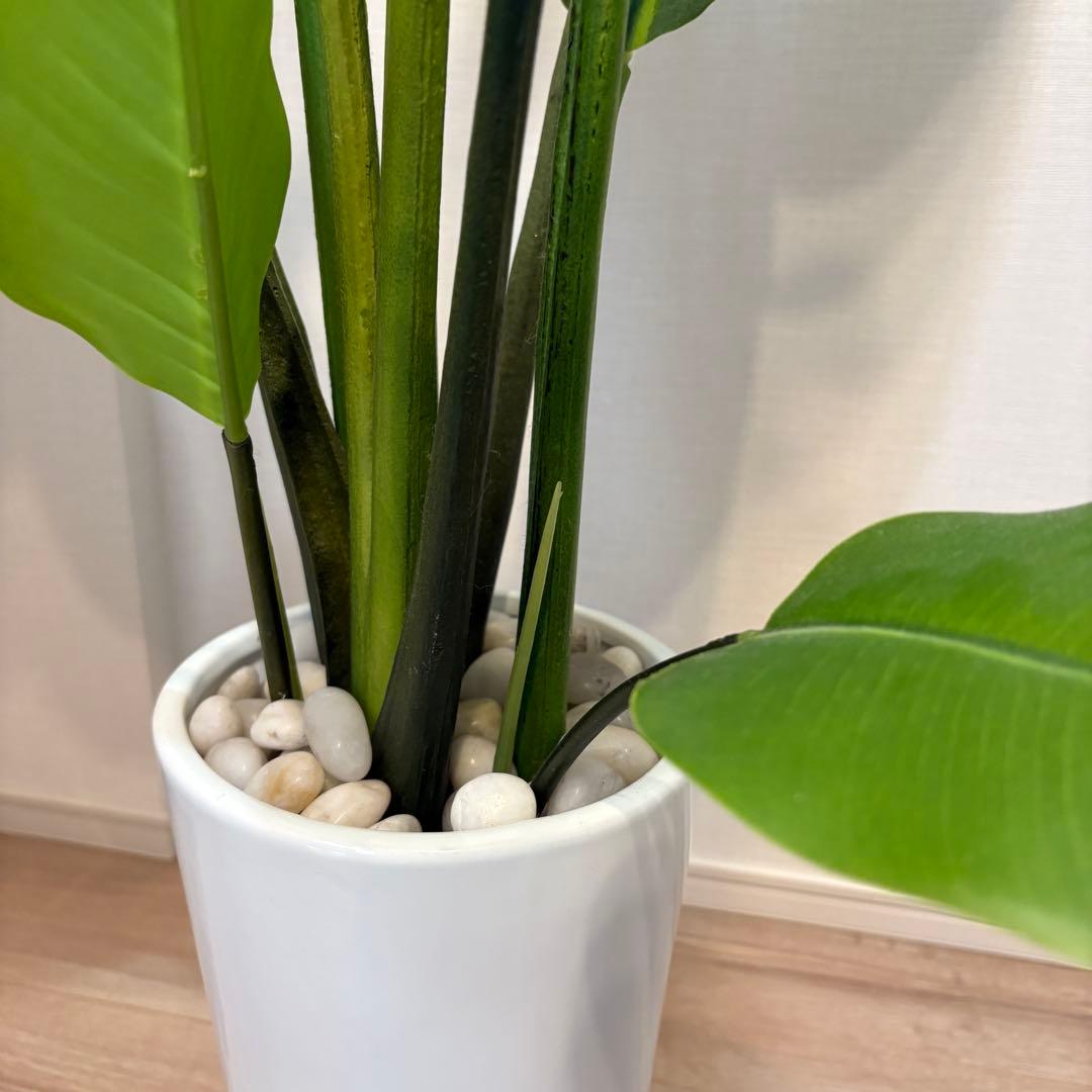 【美品】ストレリチア スリムプランター プリマ 観葉植物 フェイクグリーン